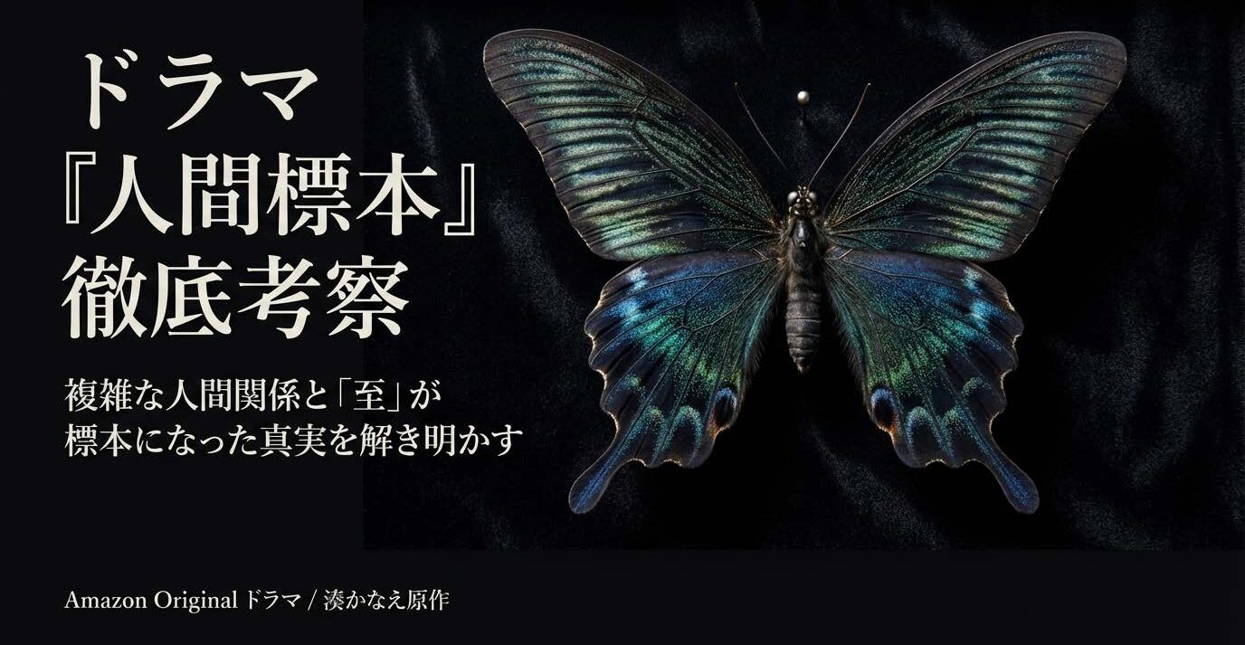 ドラマ人間標本の相関図と考察！犯人と至が標本になった真の理由