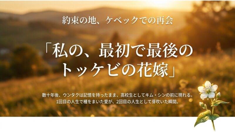 数十年後、記憶を持ったまま高校生としてキム・シンの前に現れたウンタクの、ケベックでの感動的な再会シーンの解説
