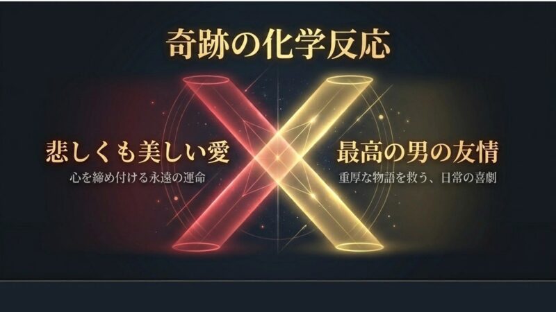 悲しくも美しい愛や男の友情、日常の喜劇など、キャストの化学反応を解説するスライド