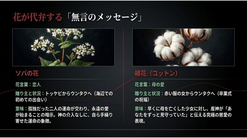 ソバの花(恋人)と綿花(母の愛)が代弁する無言のメッセージと、ウンタクへの深い慈愛の意味