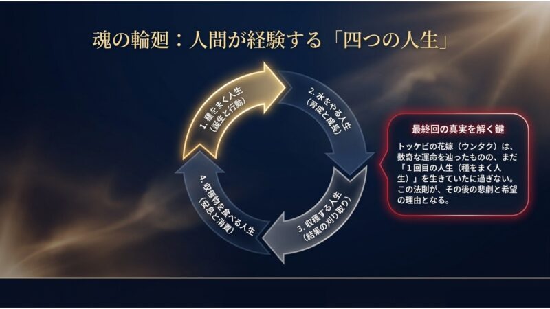 人間が経験する種をまく人生から収穫物を食べる人生までの4つの輪廻の法則を図解したスライド